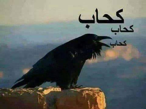nowherebeIong's tweet photo. #٢٠٣٠_بلا_نقاب https://t.co/iNqOXLUHwp