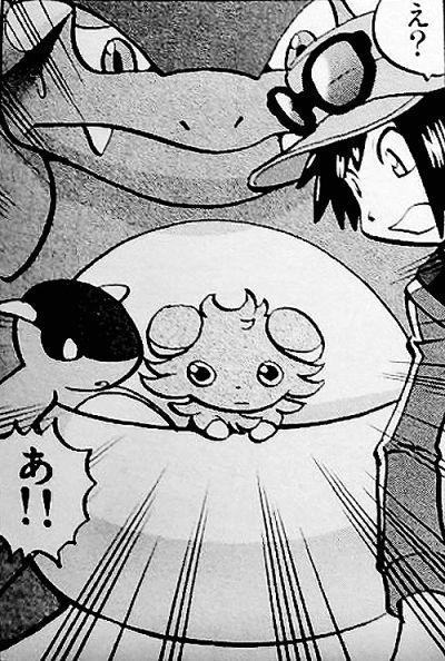 OoCPokemon's tweet photo. https://t.co/FZDPcmlkrD