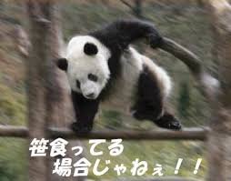 s_gate tweet picture