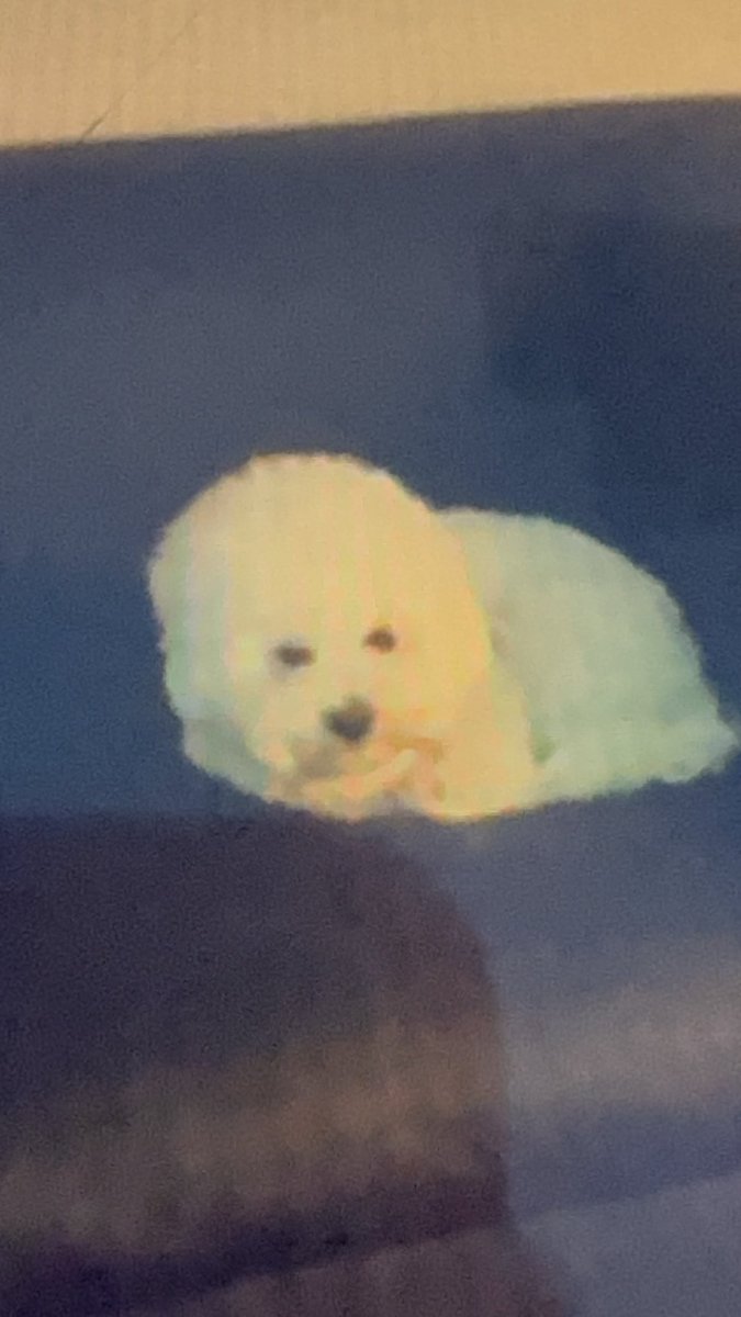 bemyhyunmin's tweet photo. Ang cute ni monggeul >_< tamang chill lang siya sa likod ackk https://t.co/m6c0wIaL04