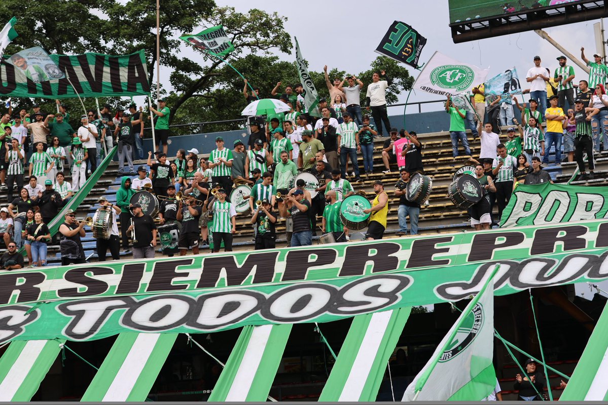 ChapecoenseReal's tweet photo. Nós amamos estar na nossa segunda casa! 💚🇨🇴

#VamosChape #AmistadEterna https://t.co/lDbijezCu9