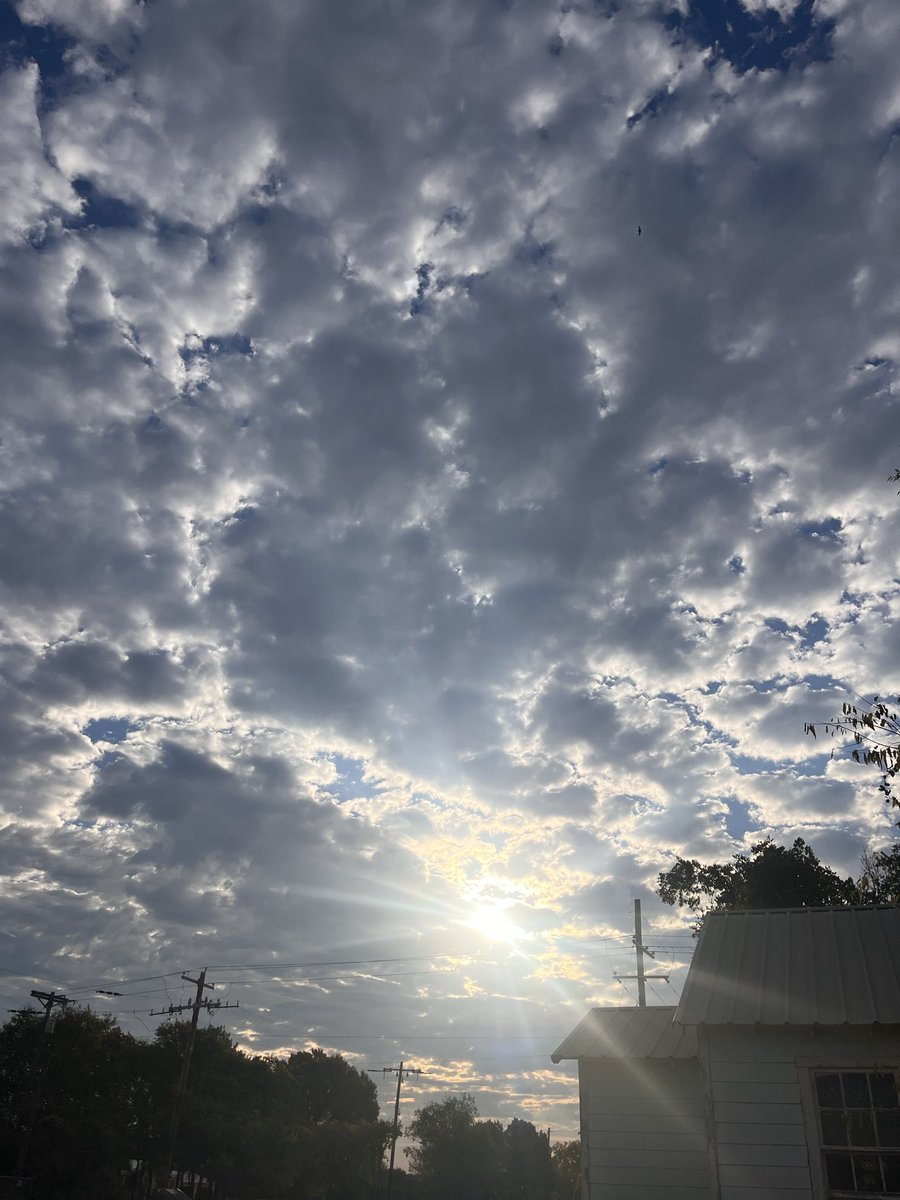 SaraleeB16's tweet photo. This is the day that the Lord has made! Let us rejoice and be glad in it✨

Psalm 118:24 https://t.co/oY3gi5fM8h