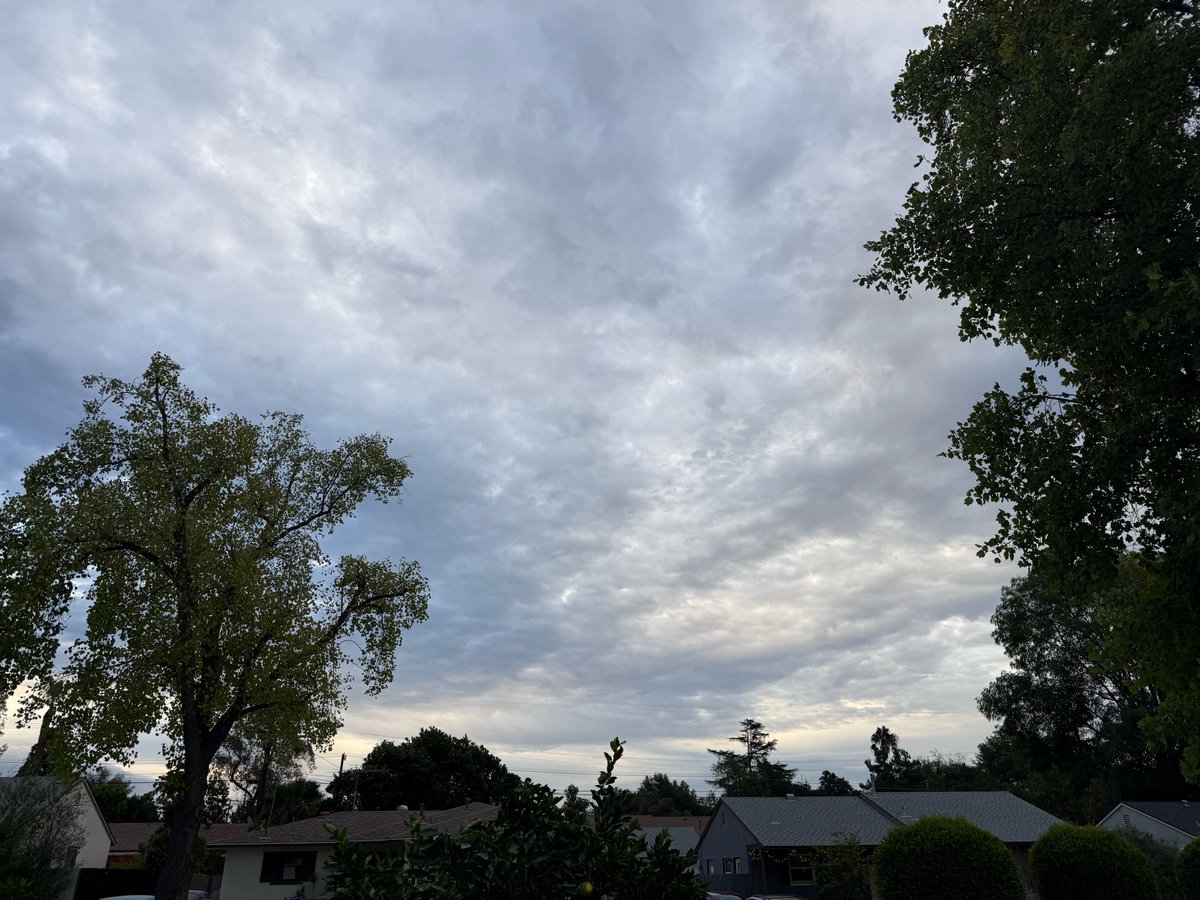 WrittenByMurphy's tweet photo. Nobody is ever too old to dream. And dreams never grow old.
Lucy Maud Montgomery
#sunrisewisdom #AVtweeps #AVPM #AVmotivation https://t.co/Sa0zHWk3gw