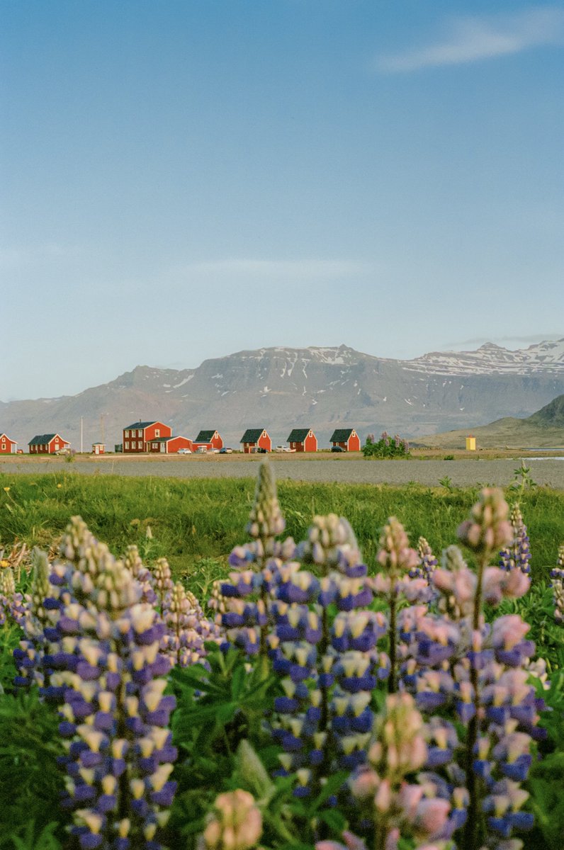 AlexKittoe's tweet photo. Iceland on 35mm 🎞️ https://t.co/xzJsNbpVgC