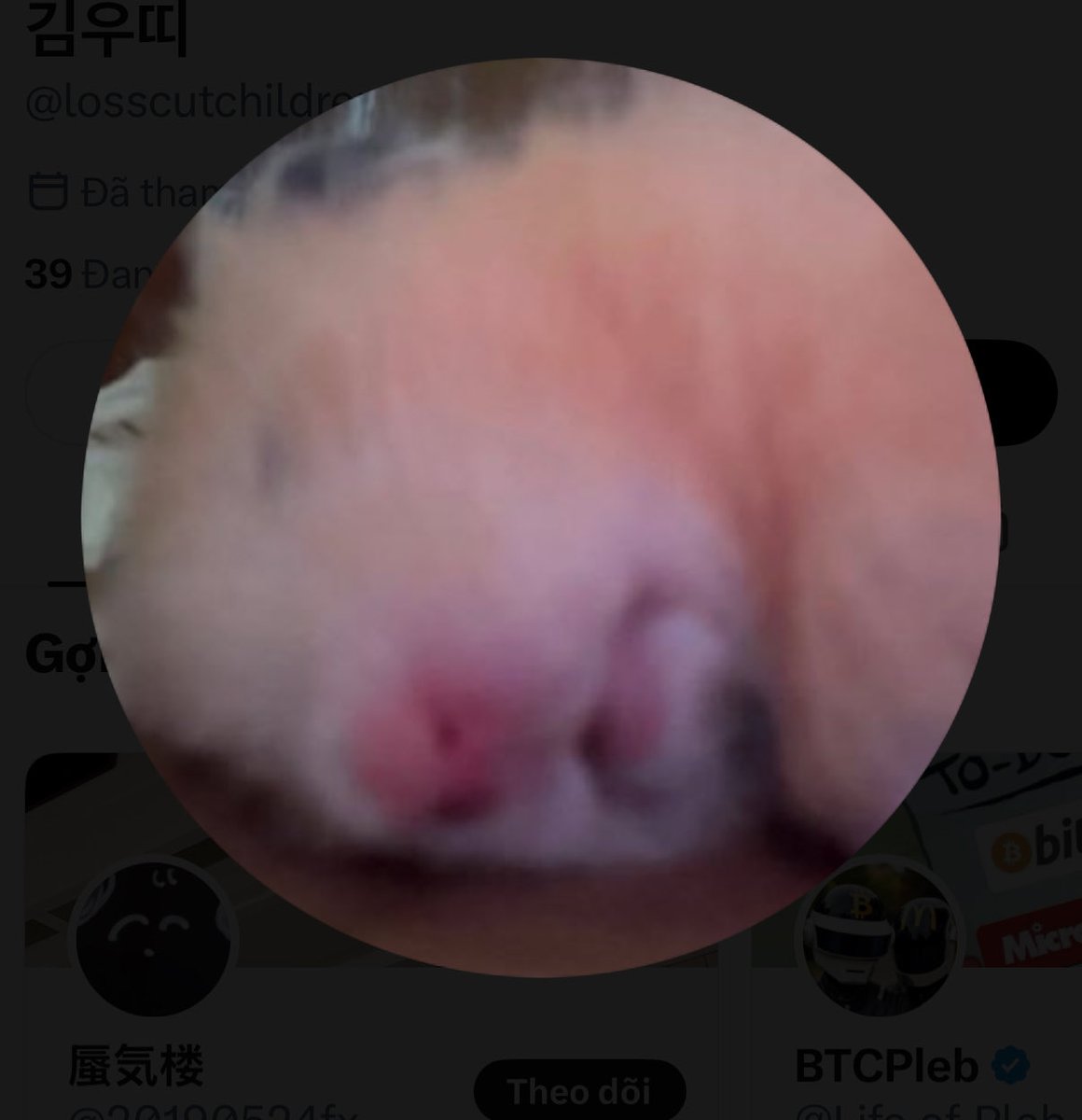 victoryzeetop's tweet photo. @losscutchildren Chỉ có khỉ mới thấy người khác là khỉ 😂😂😂 https://t.co/gC5JOsOlEn