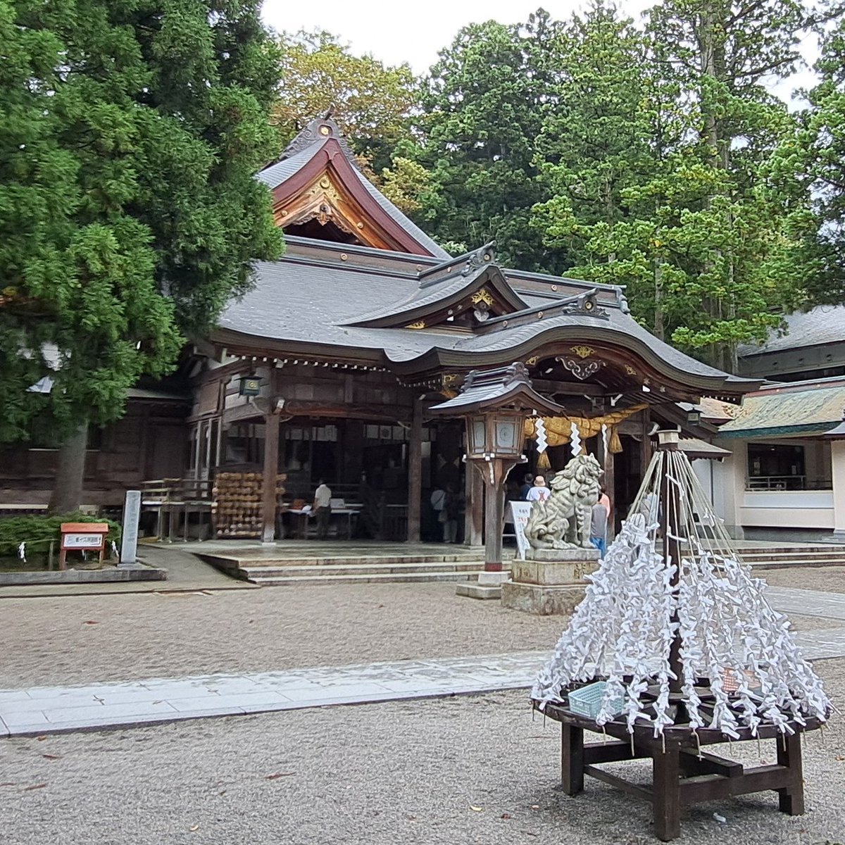Taisa_Goras's tweet photo. 旅行は金沢がメインでしたが、友人のご厚意に甘えて前から行ってみたかった白山比咩神社とそこの宝物館にも連れていってもらいました https://t.co/GV5kj8TKCu