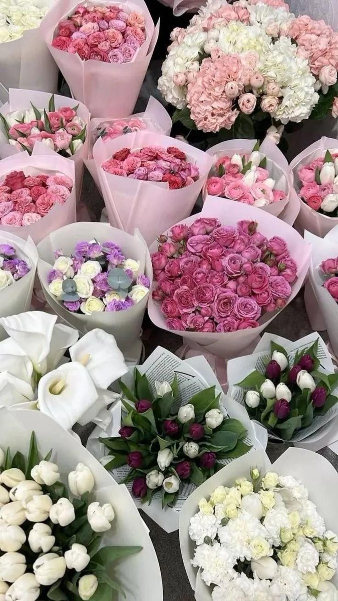Flowersidmb's tweet photo. https://t.co/jpsTcrvExD