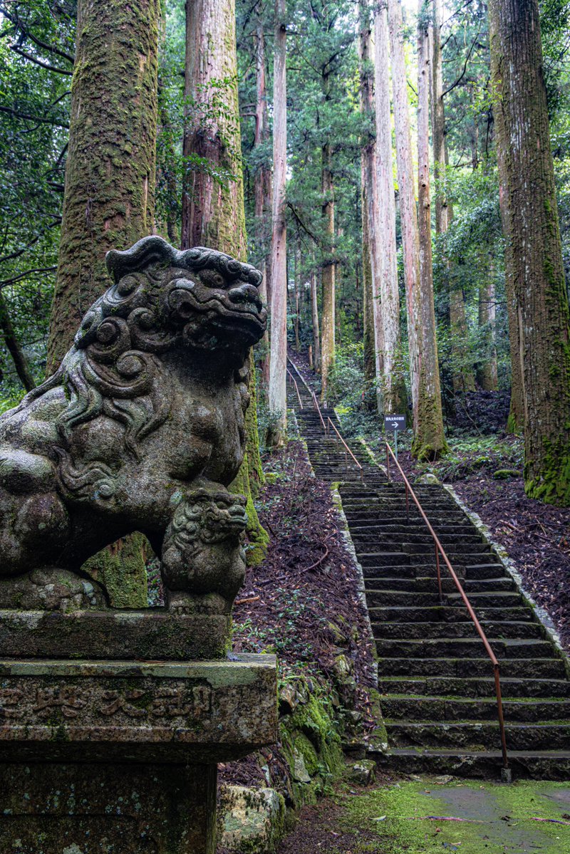 yuya0240's tweet photo. 岐阜県にある神社、きっとここは異世界への入口 https://t.co/g54MecBxJD