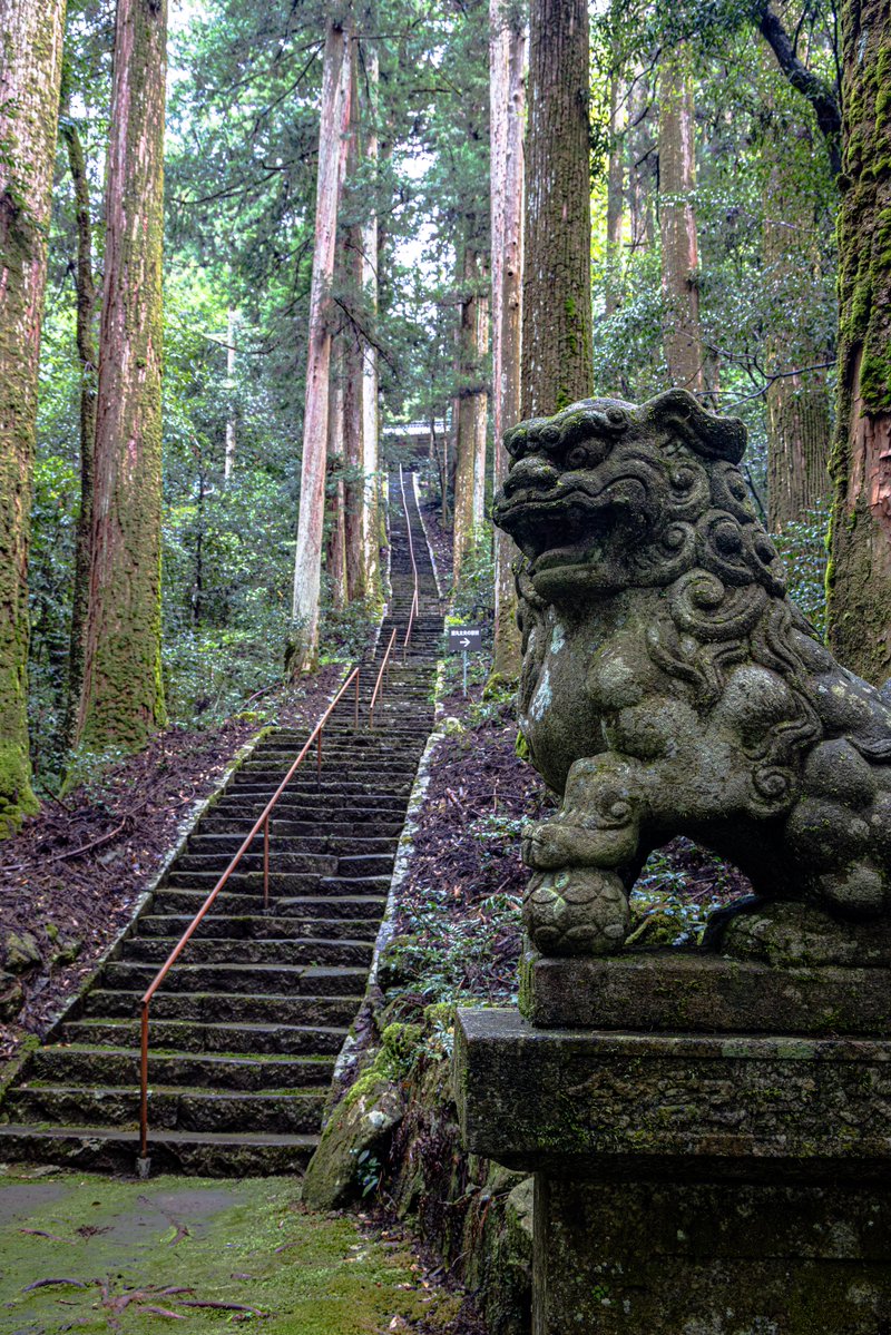yuya0240's tweet photo. 岐阜県にある神社、きっとここは異世界への入口 https://t.co/g54MecBxJD