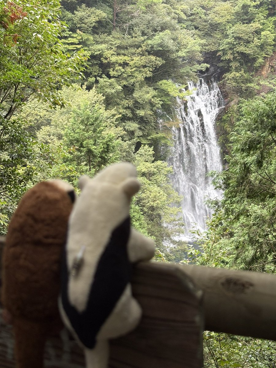 monmon_monchann's tweet photo. いい旅だったな…
ｼｭﾝｼｭﾝｼｭﾝ…
#ぬい撮り #ぬい活 https://t.co/QRtzRLdDym
