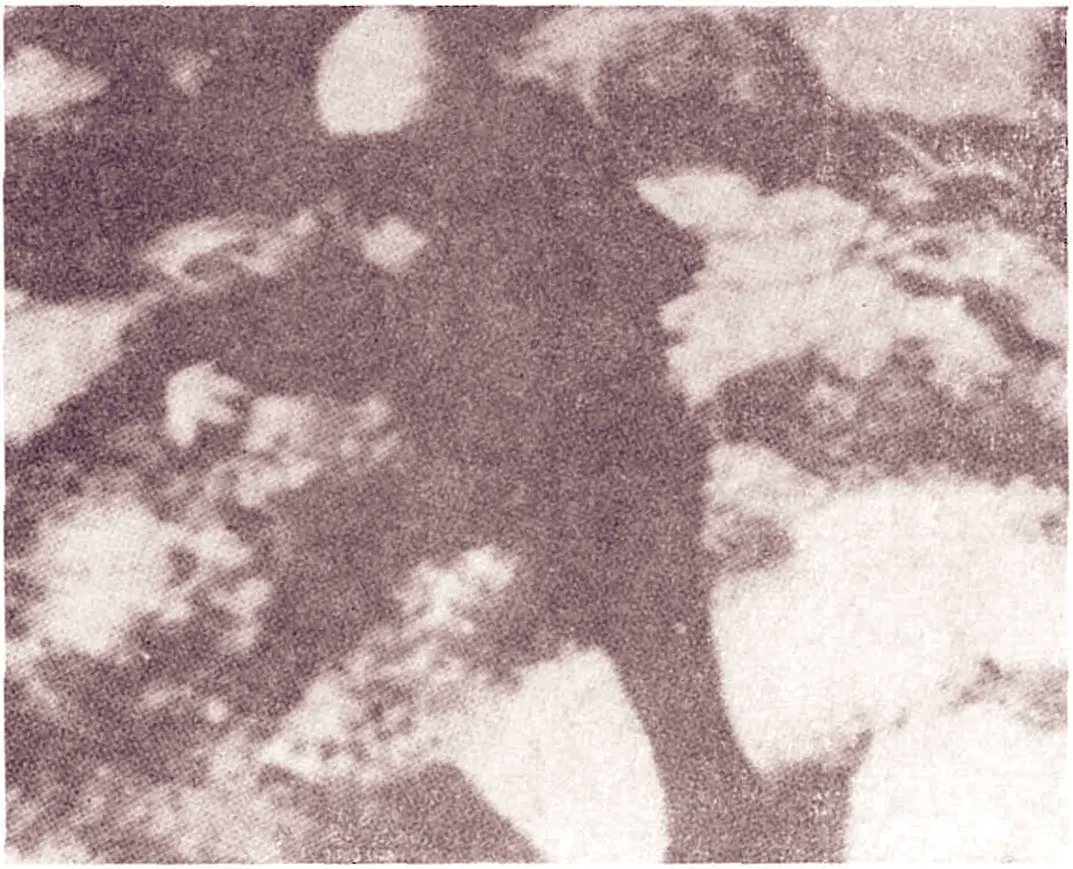 AlienArchiveX's tweet photo. On Jan. 13, 1976, Claudio Ambrosiani photographed a reported humanoid on Monte Verrugoli near La Spezia, Italy. Witnesses described a dark, helmeted figure carrying equipment and moving as if sliding over the ground.
Full story: https://t.co/c6ZtSWkRu1
#ufos #aliens #ufotwitter https://t.co/Iee2sLQnsw