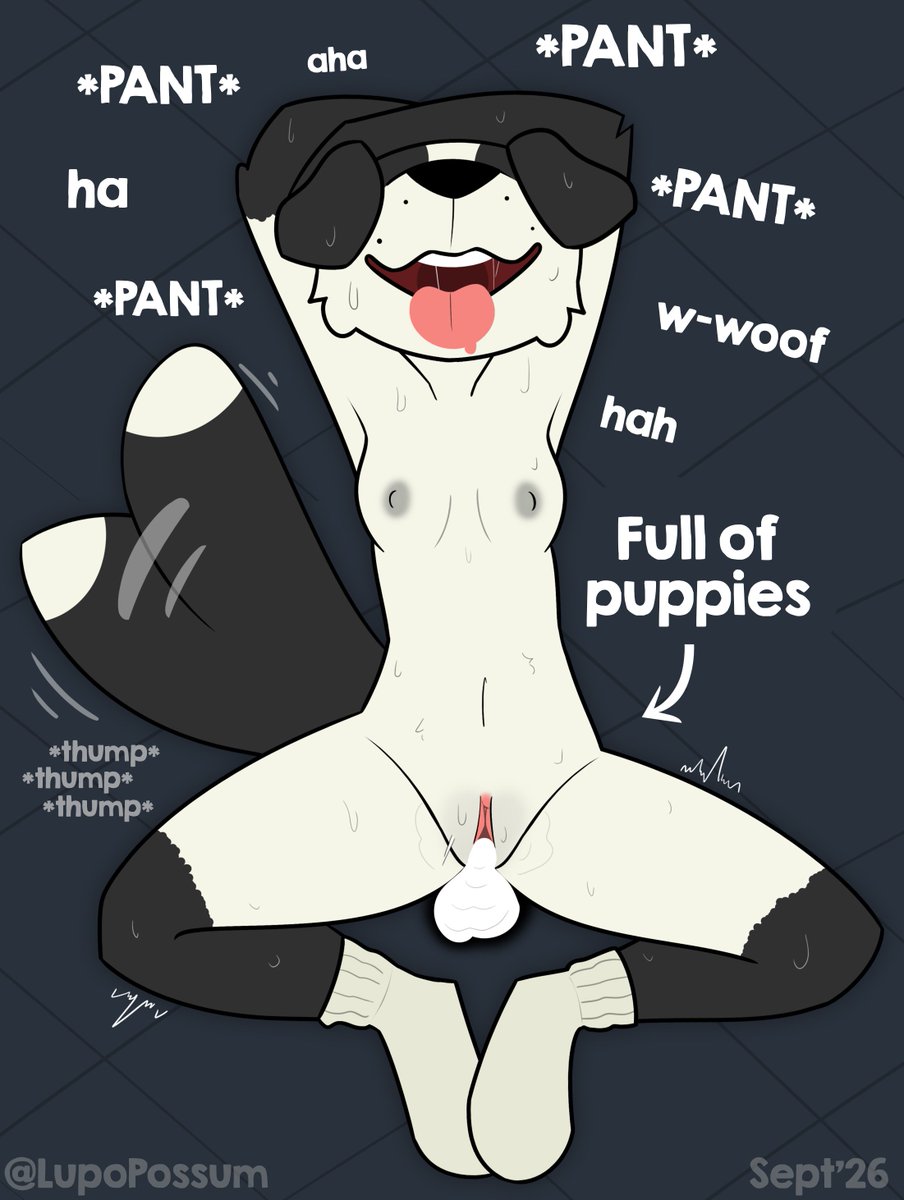 LupoPossum's tweet photo. "Oops" (it was not oops)
Full of puppies https://t.co/EWc3E13R4w