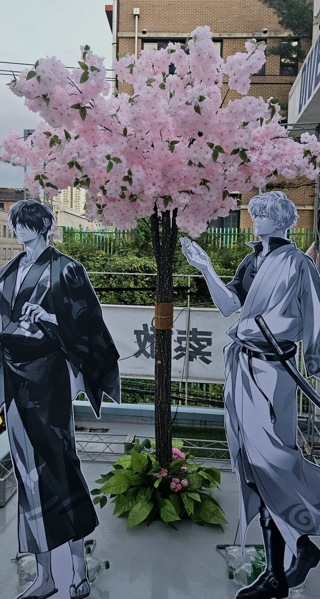 hyhi_'s tweet photo. #TAKAGIN_SAKUTEKI
#SINSUKEXGINTOKI_EVENTCAFE 
너무 아름다운 카페였습니다🥹🥹 
컨셉 미쳣고 그냥 너무 행복햇어요...💕💕💕 
타카긴 사랑해 타카긴 영원해요 https://t.co/VmKbx4yFPa