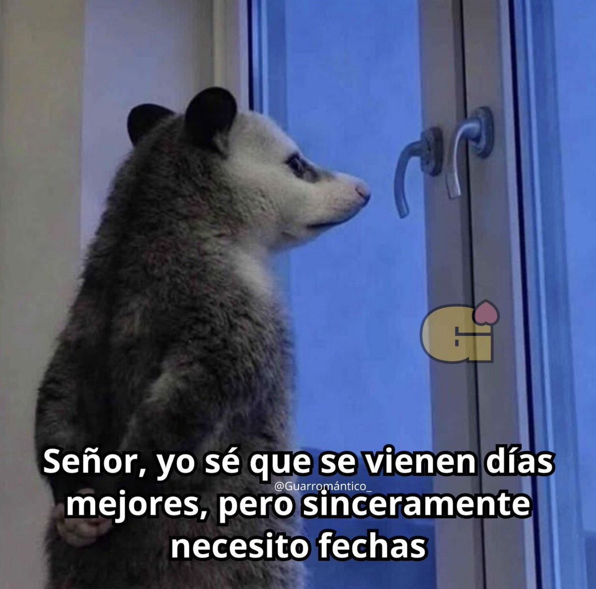 Guarromantico_'s tweet photo. Pofavo. https://t.co/gC6Ye2ky0M