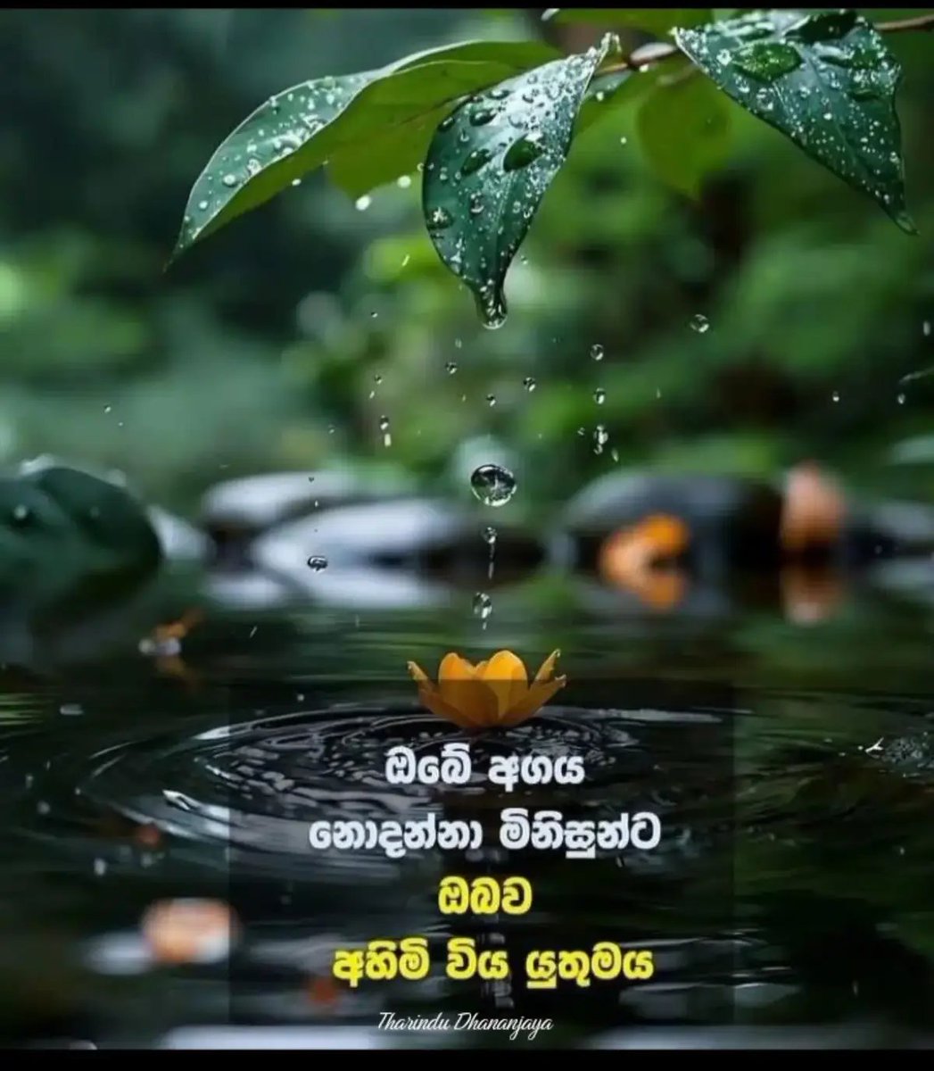 Tharindudperera's tweet photo. “ඔබේ හිතට වැදෙන සත්‍යයක්… 💧🌿”
ඔබට අද අහිමි වූ දෙයක්… හෙට ඔබේ ජීවිතයේ ලස්සනම අත්දැකීමක් වෙන්න පුළුවන්. 🌿💛
හැම දෙයක්ම වෙන්නේ හේතුවක් ඇතුවයි… 🙏✨” https://t.co/YT9aMYLvbB