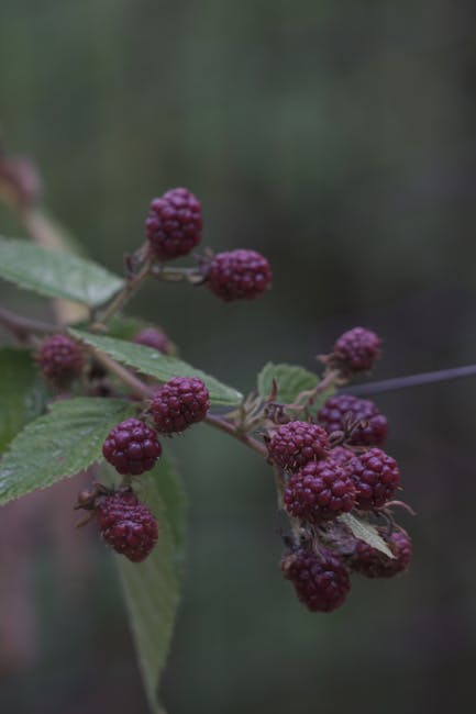 VictoriaAl4azy's tweet photo. أنا جدًا للعثور مقالك. أنا ممتن لك سعيد على شكرًا على صداقتك المتينة. لك. numbers pavelko https://t.co/GPQLprBf31