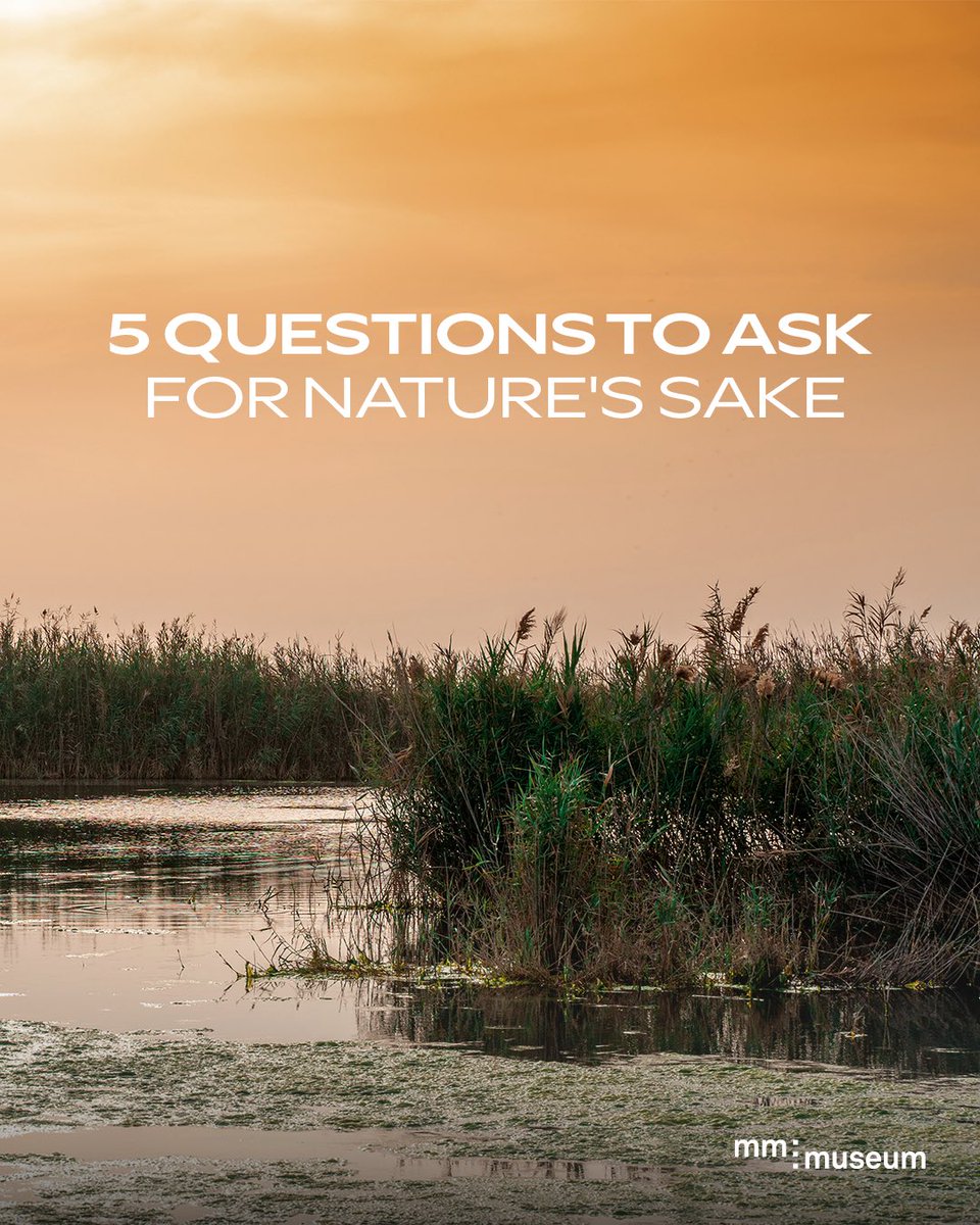 themediamajlis's tweet photo. Before looking toward the future, consider your relationship with the world around you.

Five questions to rethink your place in nature.

Our next exhibition opens October 5. https://t.co/oiJk8mCZ29
