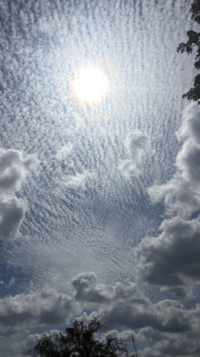 PrincessDLawhon's tweet photo. @robster12065612 Texas Hill Country.   And I asked AI and it admitted there are 3 companies the SOT contracted to cloud seed https://t.co/zSo7qKrCaY