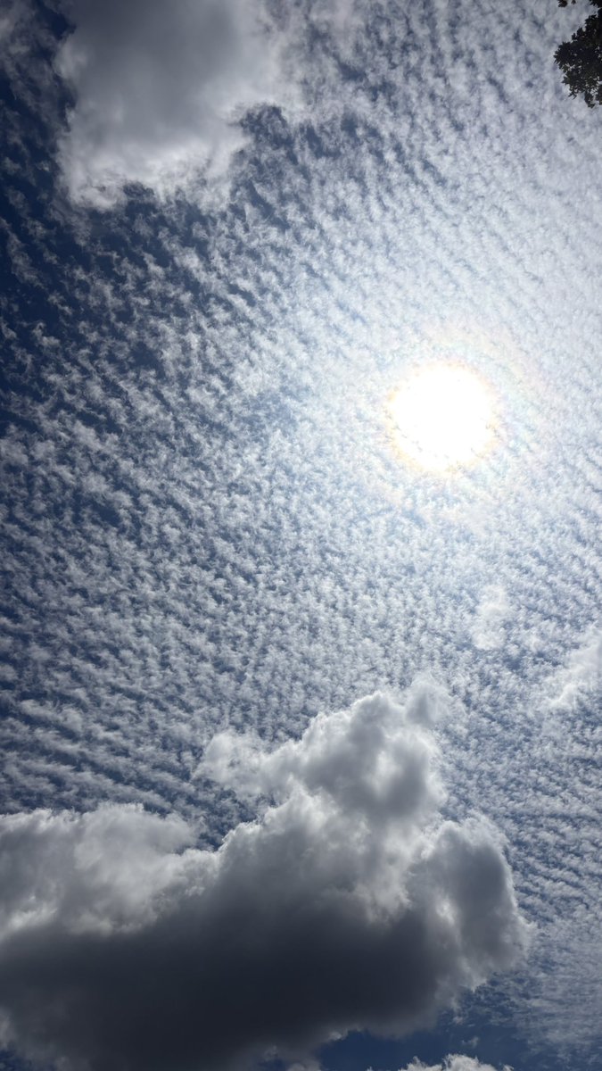 PrincessDLawhon's tweet photo. @robster12065612 Texas Hill Country.   And I asked AI and it admitted there are 3 companies the SOT contracted to cloud seed https://t.co/zSo7qKrCaY
