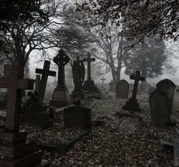 StillHopeful05's tweet photo. meet me in the cemetery 🖤 https://t.co/8DSvlrVQaw
