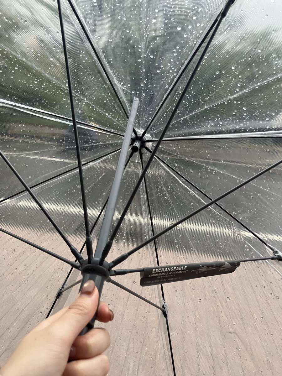 toya_magic_'s tweet photo. Aitが表示されないけどメモで残しておきたい、これは大雨の時に壊れた傘 https://t.co/sLiCcYh8Tx