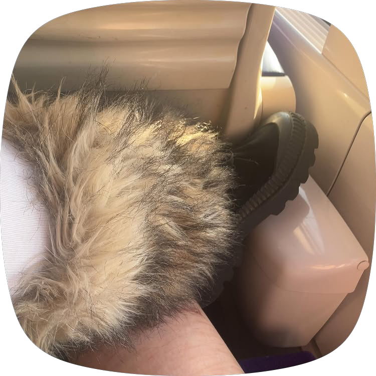 QueenLou26's tweet photo. get your mind mushed from my boots https://t.co/XeeNxILKcy