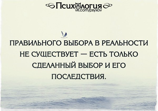 MaestroAvia's tweet photo. @_foxy_tail_1 "он весь день играет" - это, ведь, твой выбор.
Значит, ты, просто, имеешь дело с последствием своего выбора. https://t.co/NehfbiacIa