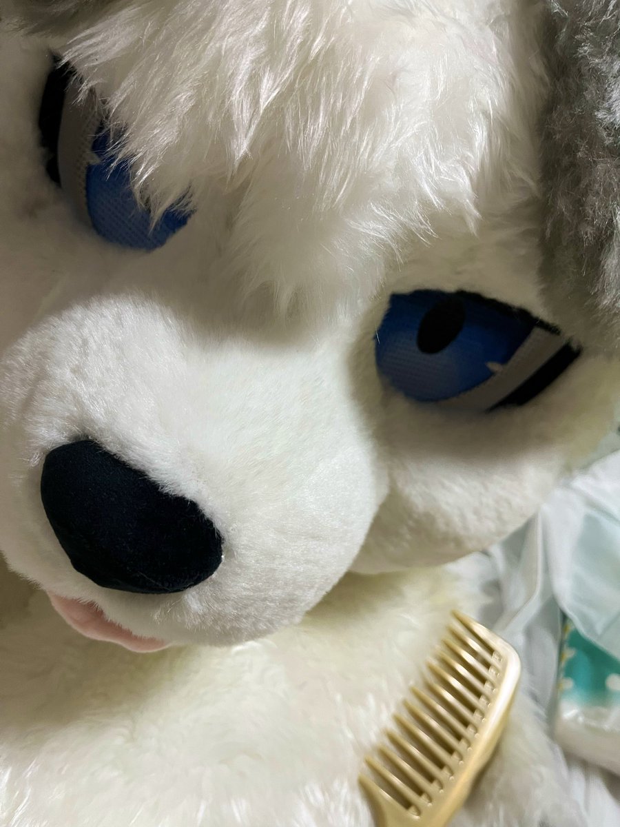 mosa_fur's tweet photo. おていれするよ https://t.co/GGkbzqZMNC