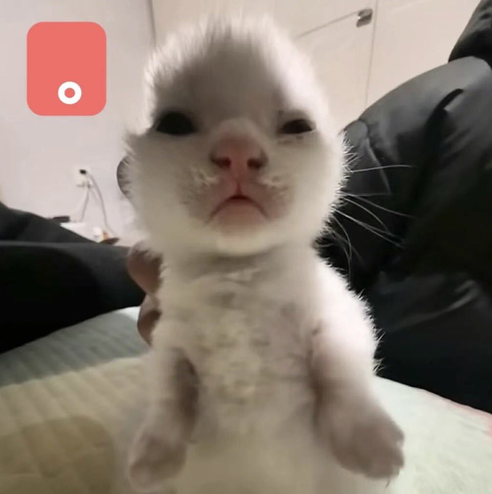 Chuuve_17's tweet photo. wtf https://t.co/jPlyQRHlmI