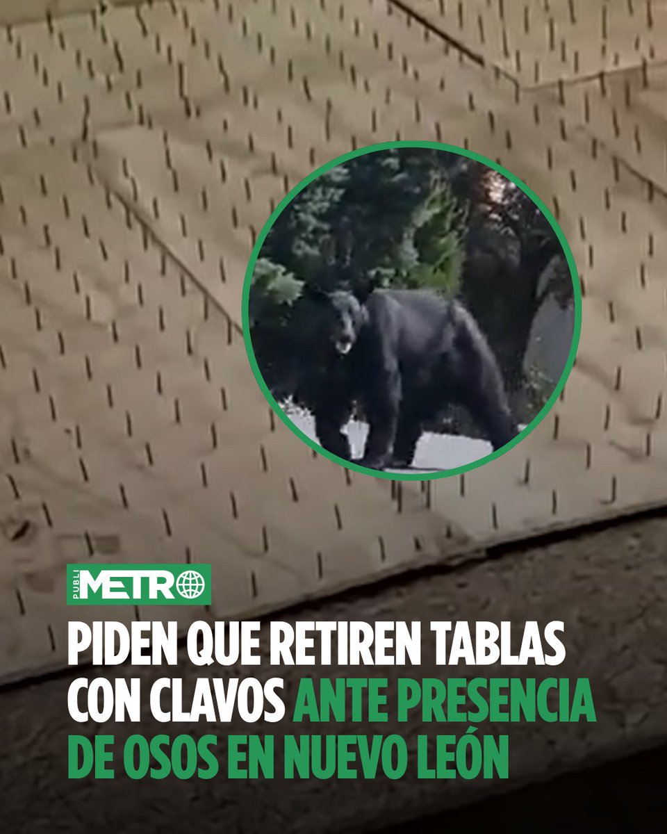 PublimetroMX's tweet photo. 🐻Parques y Vida Silvestre del Estado convocará vecinos para hacer los llamados👉https://t.co/cVAb8hVLbd https://t.co/HBxdHXIfky