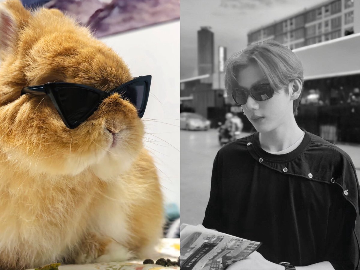 watermalen6's tweet photo. 🐰🕶️🟰stamp
#stamp_panachkorn #AunStamp https://t.co/58tbgM7B7A
