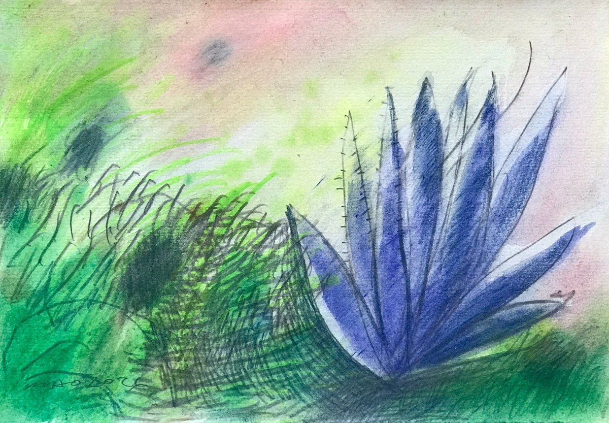 MaoTlac's tweet photo. Pequeños paisajes. 2026
Grafito, lápices de colores, tinta y acuarela sobre papel https://t.co/XVBWm1jQBr