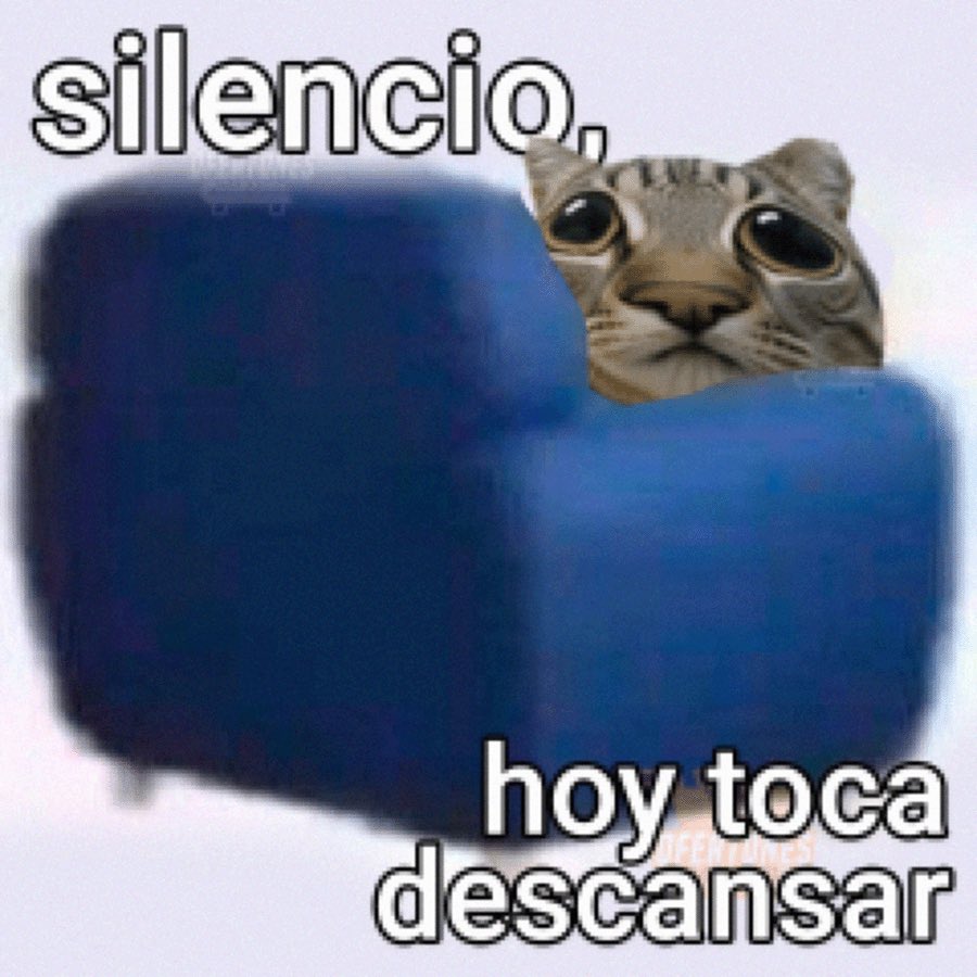 Lorenzo_Sol_'s tweet photo. buenos días  😼 https://t.co/ibBf6GPlzc