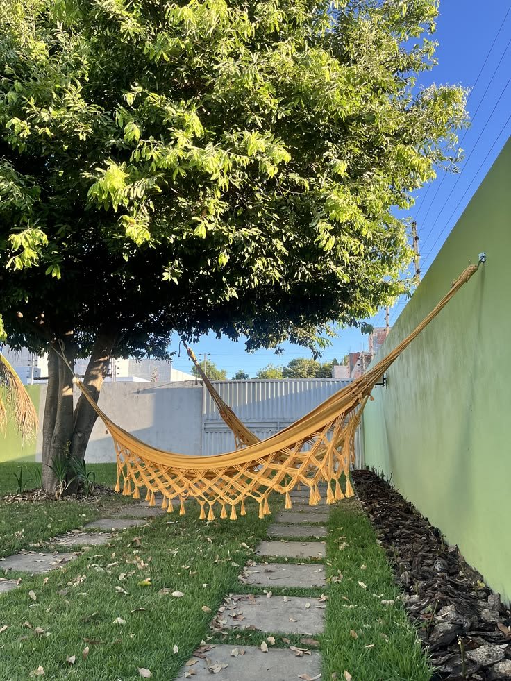 SouReferencias's tweet photo. POV: seu quintal num domingo de manhã https://t.co/2H3fiTmjlM