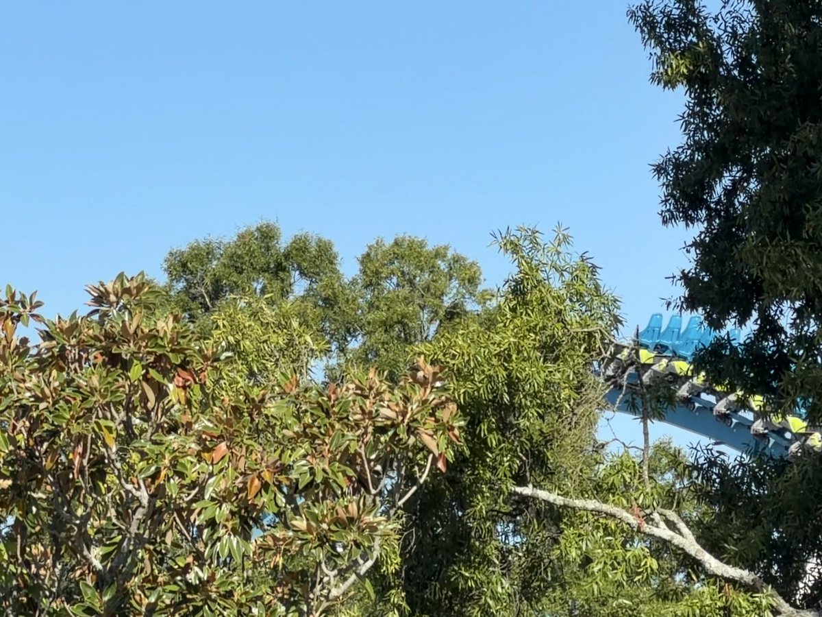 The_Fury_Guy's tweet photo. Looks like it’s gonna be another great morning!! 🤩#Fury325 #FundaySunday @Carowinds https://t.co/KE2b6m8vqf