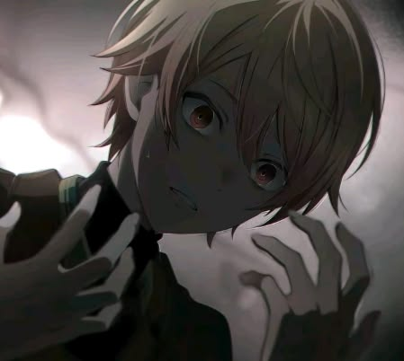 shelvesonfae's tweet photo. https://t.co/BcoHgwvIGN