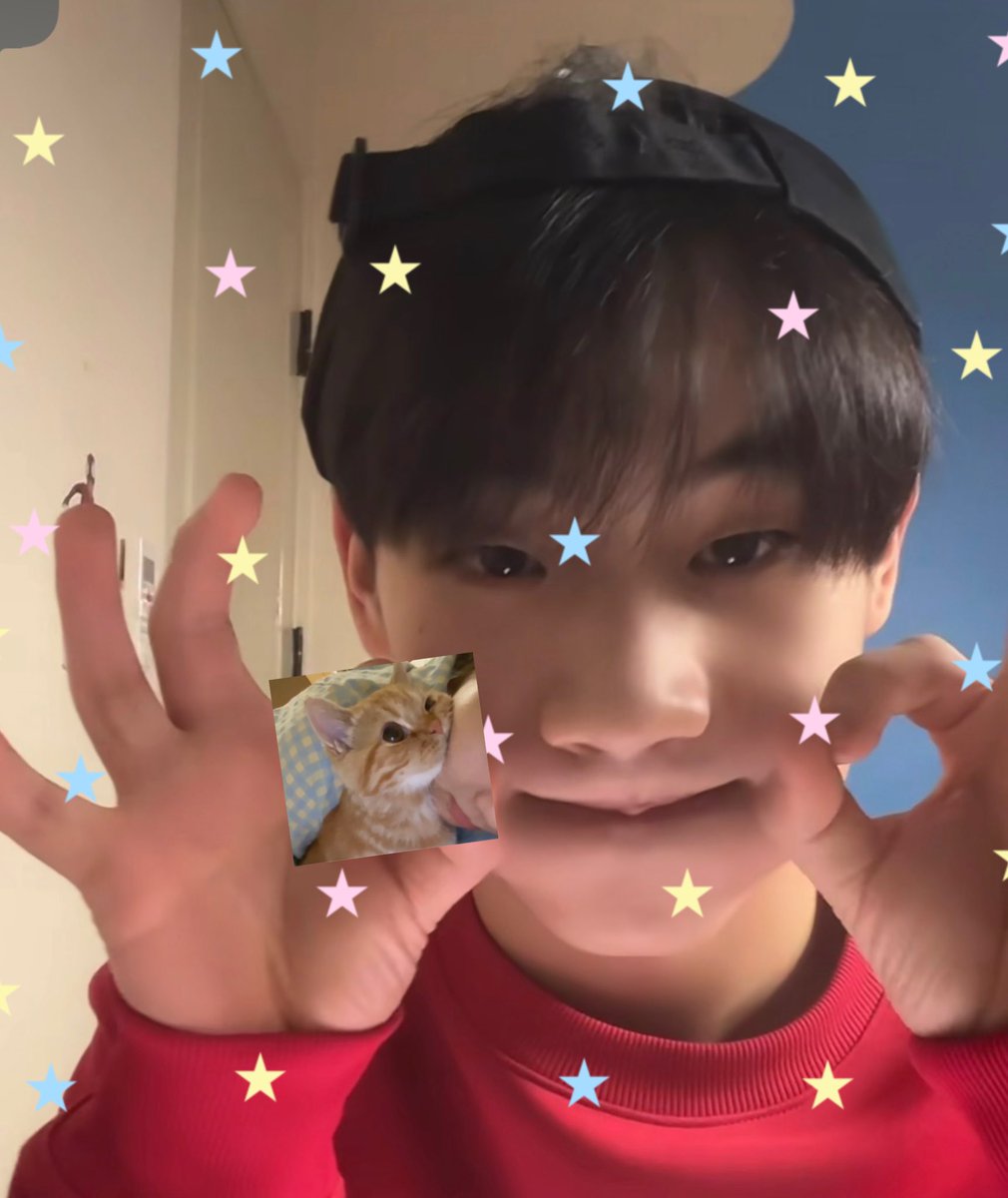 PjwithSK's tweet photo. 🫳🏻🐶🏠🌟🧢

 🍥แก้ม🍥 👌🏻 ✅ 

#plexqt #สไปเดอร์พี https://t.co/vt1vDLFwWF