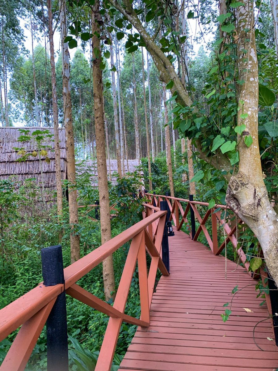 eunicetess's tweet photo. Wild Geese Lodge, Entebbe 🍃
Watch the vlog here https://t.co/UdjxIHgDwn
#TravelVlogger https://t.co/XPxcQNaI8b