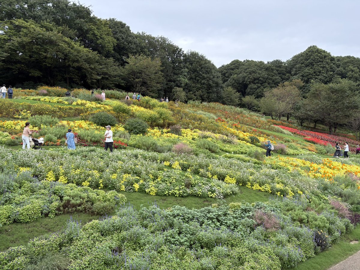 sskysk's tweet photo. シルバーウィーク中に行きたかったけど、雨でなかなか行けなかった里山ガーデンフェスタに、最終日ようやく行けた
予想以上に素敵な花園にうっとり😍これを丹精込めて作った方々に感謝！ https://t.co/KlJ1ubSU3m