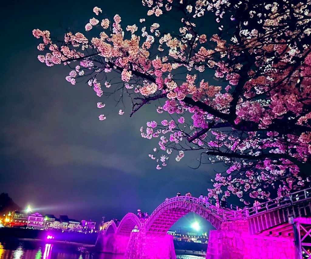 ykmeiling8811's tweet photo. NHK朝ドラ『ブラッサム』🌸いよいよスタート🤩
私の生まれ故郷は、岩国・錦帯橋の付近で…
祖父母の家が最近まであった(今でも墓参りに)🙏
宇野千代さんの生家・川西は錦帯橋の西南で、小説にも故郷が出てくるので懐かしい🥲
しかも亡くなった祖母と同故郷、同世代の女性　なので余計に…
放送楽しみ🌸 https://t.co/081YkyYwaO
