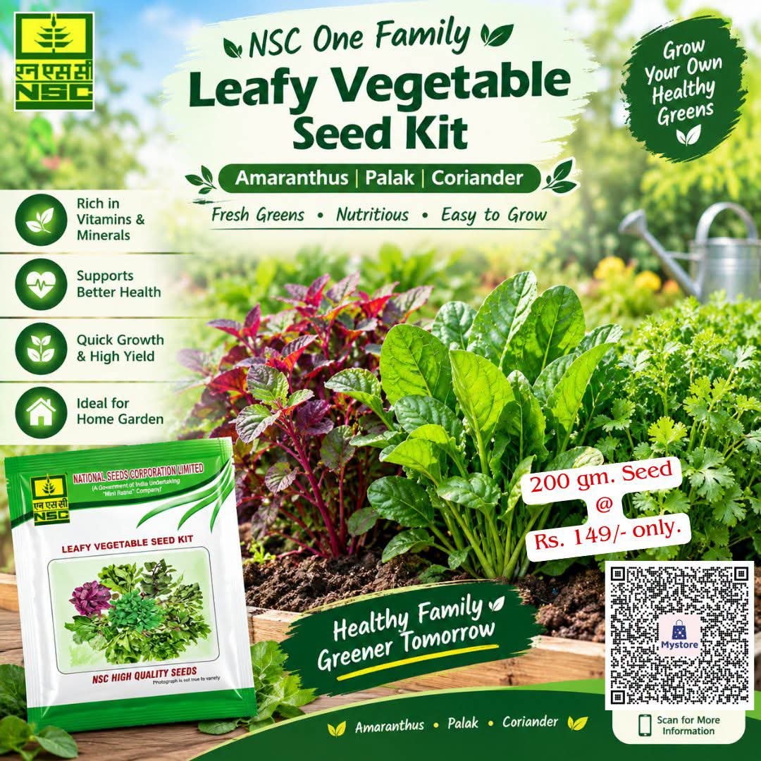 NSCLIMITED's tweet photo. 🌱एक ही किट में पाएँ ताज़ी और सेहतमंद हरी सब्जियों की पूरी सौगात!✨

📦200 ग्राम किट (4-in-1 Combo Pack)
कीमत: मात्र ₹149/-

🛒अभी ऑनलाइन ऑर्डर करें@ https://t.co/ZLxYu0573m और उगाएँ रसायनों से मुक्त, पोषक तत्वों से भरपूर ताज़ी हरी सब्जियाँ।

#LeafyVegetables #KitchenGarden https://t.co/4rBFxVrS21