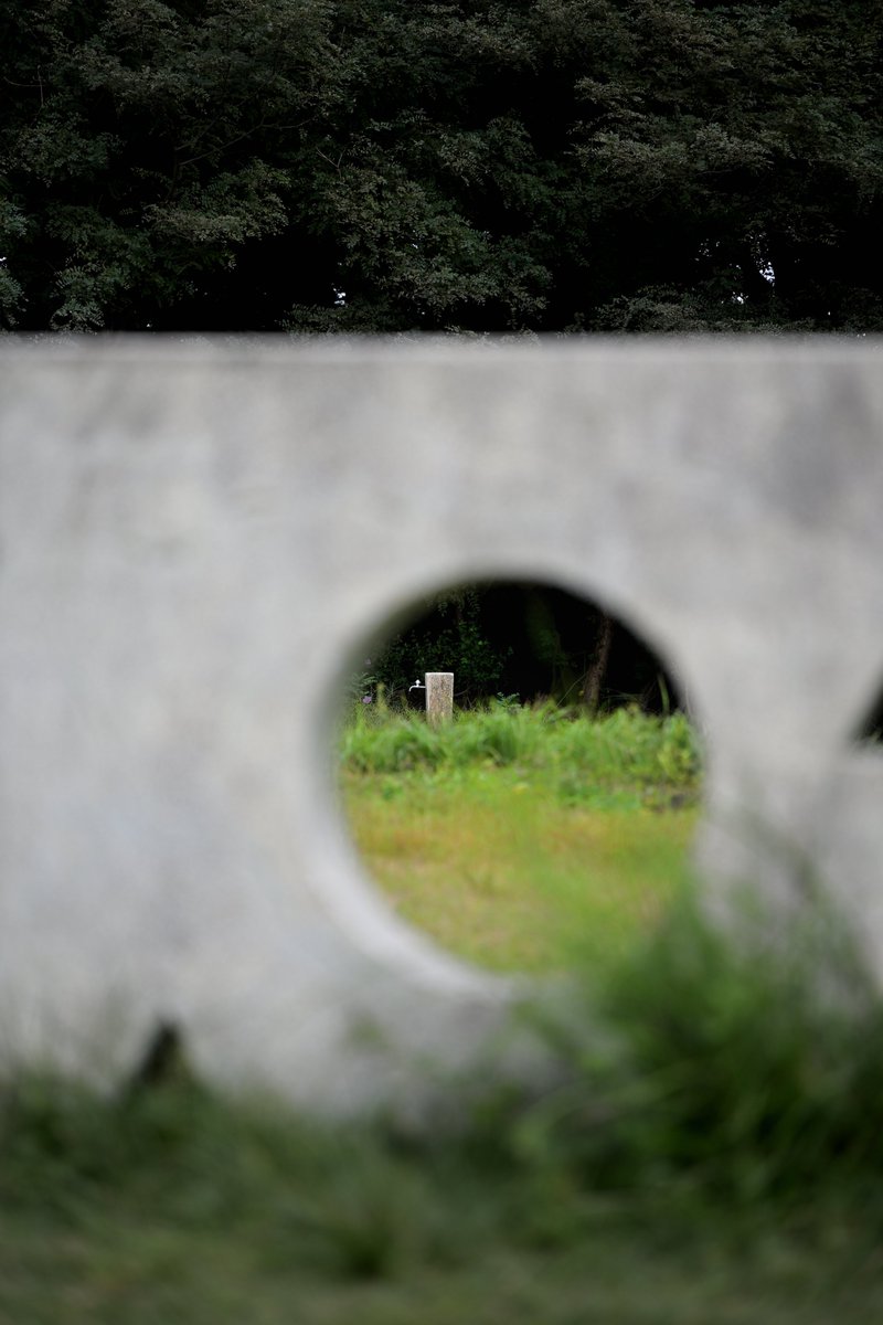 mT7zAp9Z's tweet photo. #Nikonzf
#キリトリセカイ 
#ファインダー越しの私の世界 https://t.co/MQy2T14fag
