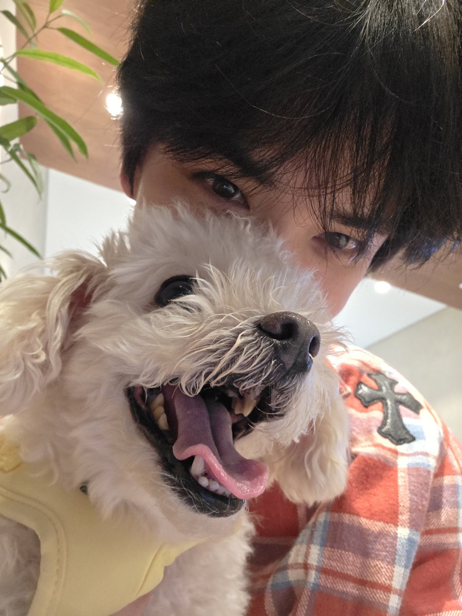 h2tt588's tweet photo. 영훈보리 투샷 너무 좋음 ㅜㅜ https://t.co/AHuuvxtxnK