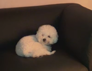 choikafe's tweet photo. grabe antok na antok na yung bata HAHAHA https://t.co/e64e5g5SsG