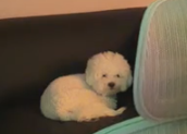 choikafe's tweet photo. grabe antok na antok na yung bata HAHAHA https://t.co/e64e5g5SsG
