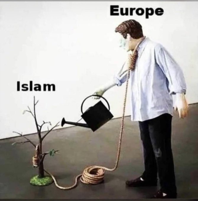 Raoul________'s tweet photo. @Terraformer100 @scopethetruth so whats even the point https://t.co/6ELFFRLuyB