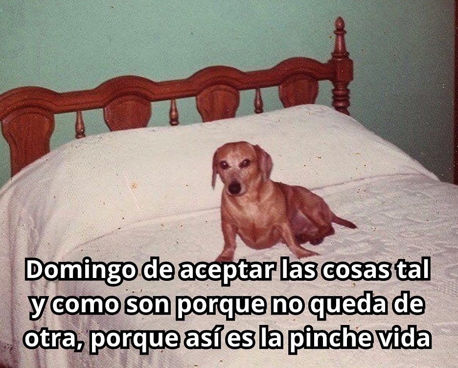 MascaraDeLatex's tweet photo. Así las cosas https://t.co/RX2o9UlUrT