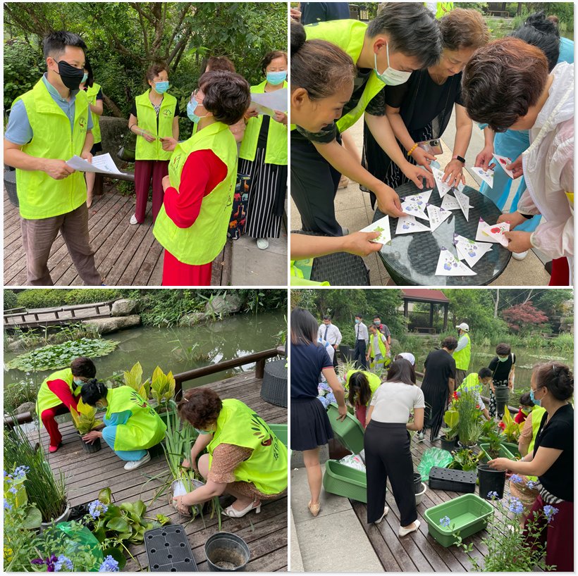 Justinelqb's tweet photo. Domingo en el Parque Central! Ven a nuestro taller comunitario de jardinería, aprendemos a cuidar plantas nativas y llevate una planta gratis. Te esperamos de 10 a 12! https://t.co/J64Mp7BeKn