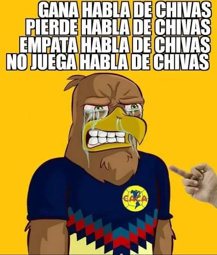Sebasti00118493's tweet photo. Llevo media noche y todo el día buscando a un gallito del Querétaro celebrar la victoria y solo veo puro wilo y zorra del atlaz y televisa FC digo amierdica. Ya veremos si tiene el mismo hocico en Guadalajara y los wilos con el mecaxa digo necaxa https://t.co/kjhvebOnvp