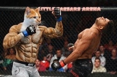 RealGigacatCTO's tweet photo. As we shatter the $500k market cap and march toward the millions, the noise is bound to get louder. 📈 The doubters will talk, and the FUD will inevitably try to step into the ring.

But the $GIGACAT community is built different. 🧬 We respect the game and everyone playing it, but we don't bow to the noise. 

We stay disciplined, united, and absolutely ready to knock out the fudders with pure strength and unwavering conviction. 💥🥊

Look that’s our energy. When FUD swings, Gigacat delivers the knockout blow. 🐾💪

Keep holding. Keep building. We are inevitable. 🚀

#Gigacat #GigaCatArmy #CryptoCommunity #NoFUD #Knockout #DiamondPaws